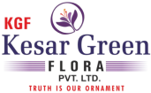 logo-img